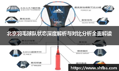 北京羽毛球队状态深度解析与对比分析全面解读